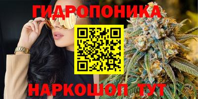 гашишное масло Аргун