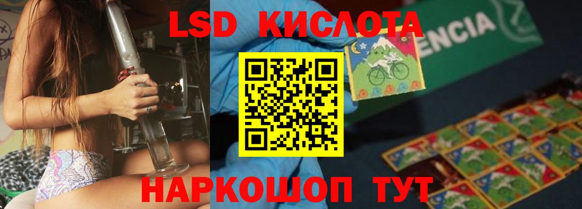 Бошки Шишки Будённовск