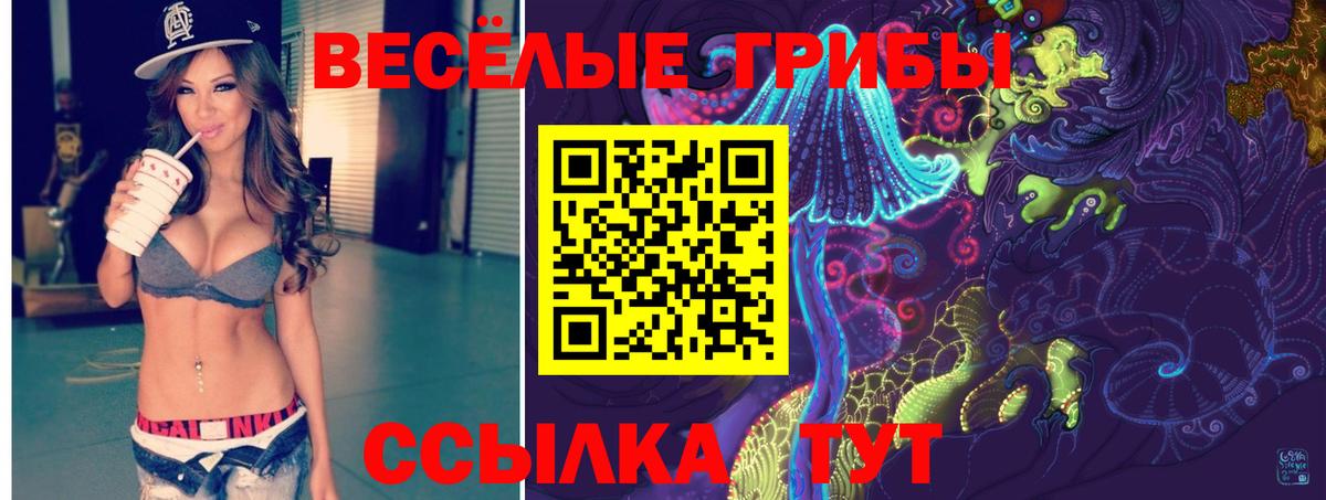 Будённовск  Псилоцибиновые грибы MAGIC MUSHROOMS  Вход с VPN 