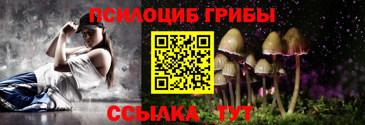 Псилоцибиновые грибы ЛСД Будённовск