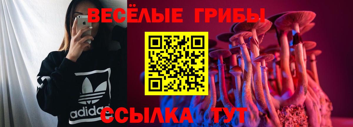 Псилоцибиновые грибы Psilocybine cubensis Будённовск